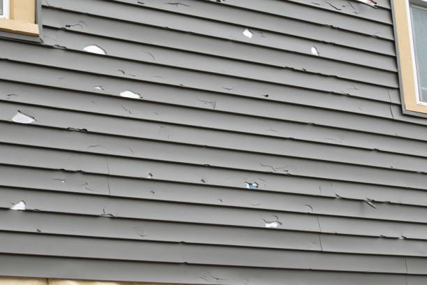 Best Aluminum Siding Installation  in Vinings, GA