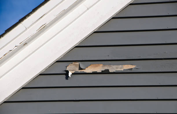 Best Steel Siding Installation  in Vinings, GA